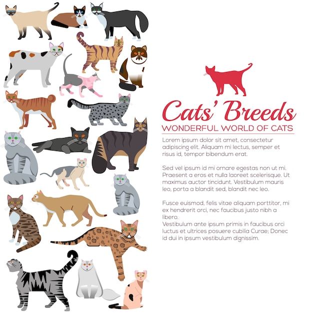 Breed cats icons sticker set