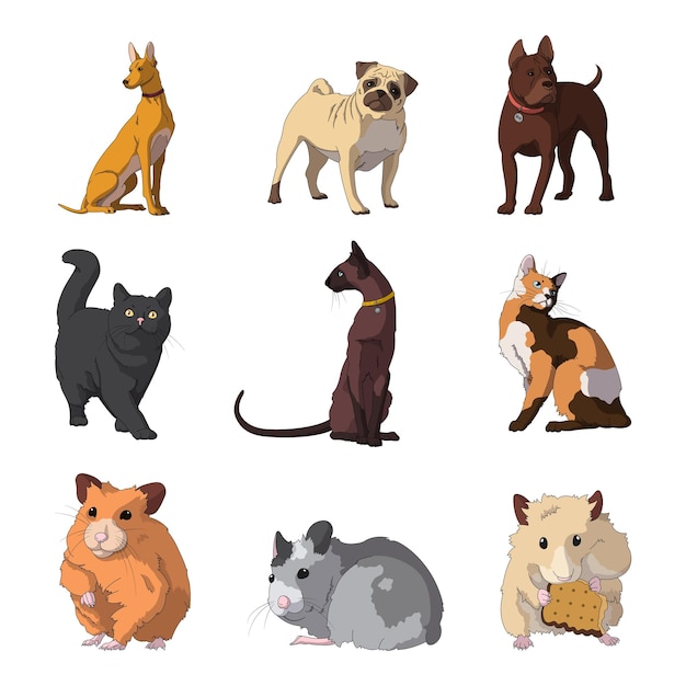 Breed of realistic pets cats, dogs and hamsters - Vector