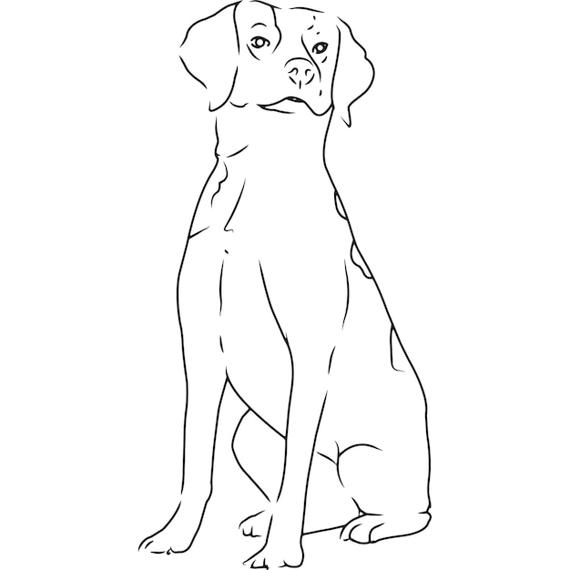 Bretagne spaniel hond hand geschetste vector tekening