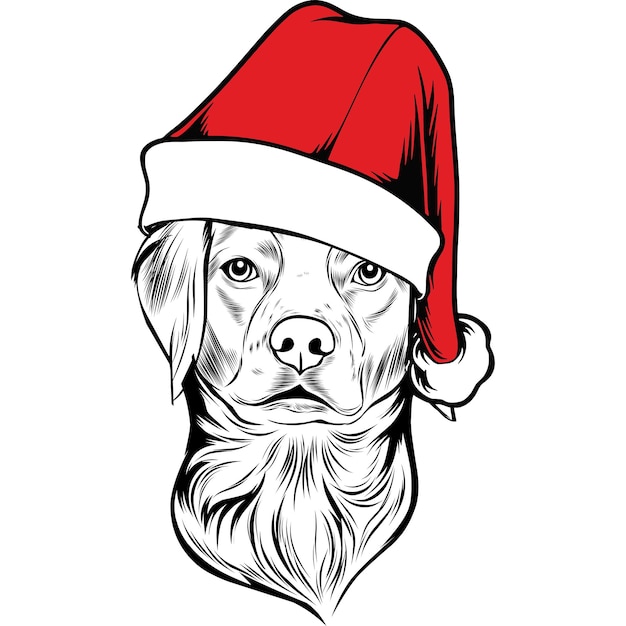 Bretagne spaniel hond in kerstmuts voor kerstmis