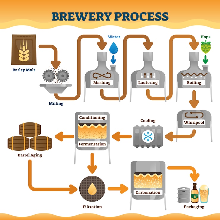Vector brewery process illustration