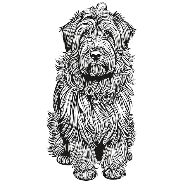 Vector briard dog pet sketch illustration black and white engraving vector sketch drawing