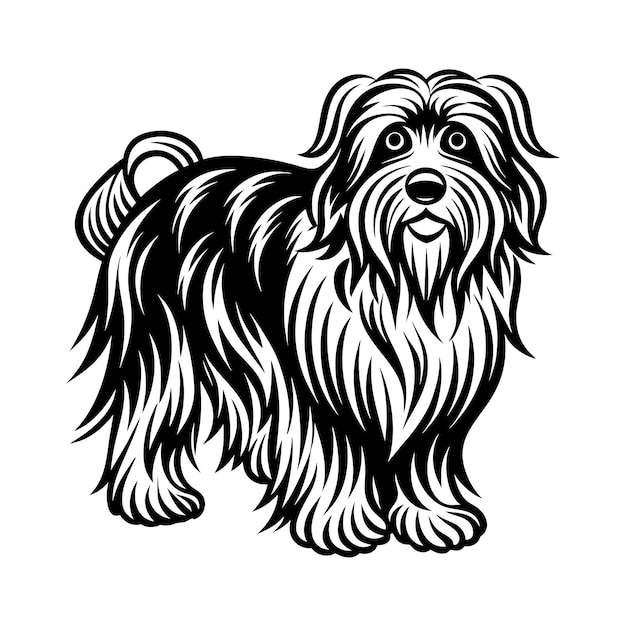 Vector briard graphic vector eps