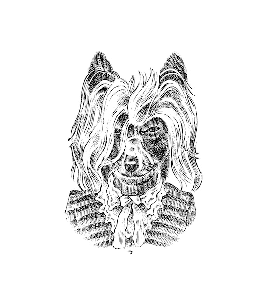 Briard or herding dog dressed up in suit fashion animal character in clothes hand drawn sketch