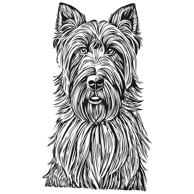 Vector briard hond inkt schets tekening vintage tatoeage of t-shirt afdruk zwart-wit vector realistisch ras huisdier