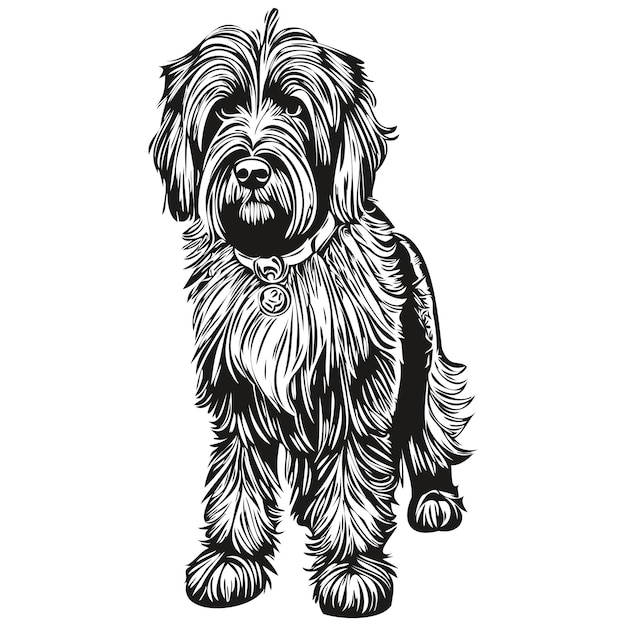 Vector briard hond vector gezicht tekening portret schets vintage stijl transparante achtergrond realistisch ras huisdier