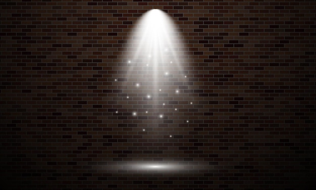 Vector brick wall with light spot. isolated light effect of white color on dark brick wall background. vector illustration