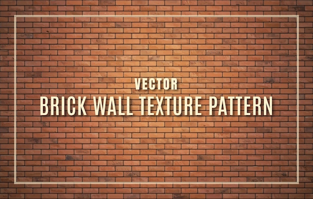 Vector brick21sofe01