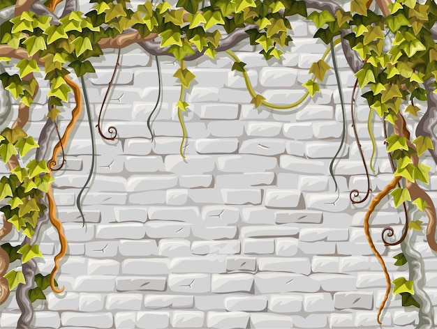 Vector brickwork wall branches liana ivy