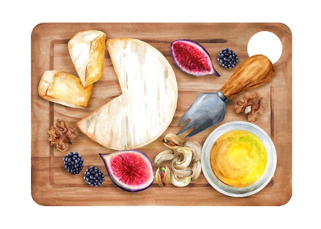 Brie cheese with honey, figs and nuts on a wooden board. Italian appetizer. Watercolor illustration.