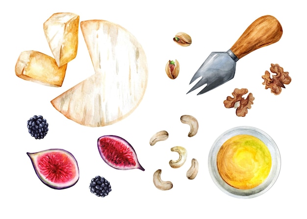 Brie-kaas met honingvijgen en noten op een witte achtergrond italiaans voorgerecht watercolour