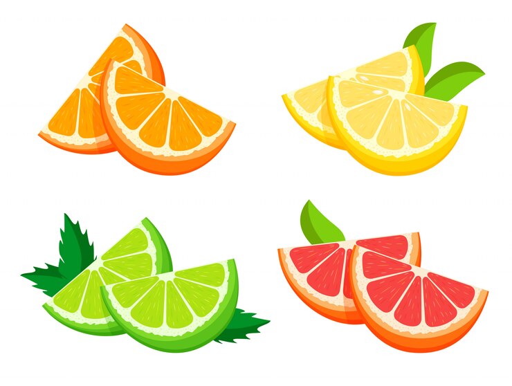 Vector bright fresh half of orange, lemon, lime and grapefruit isolated