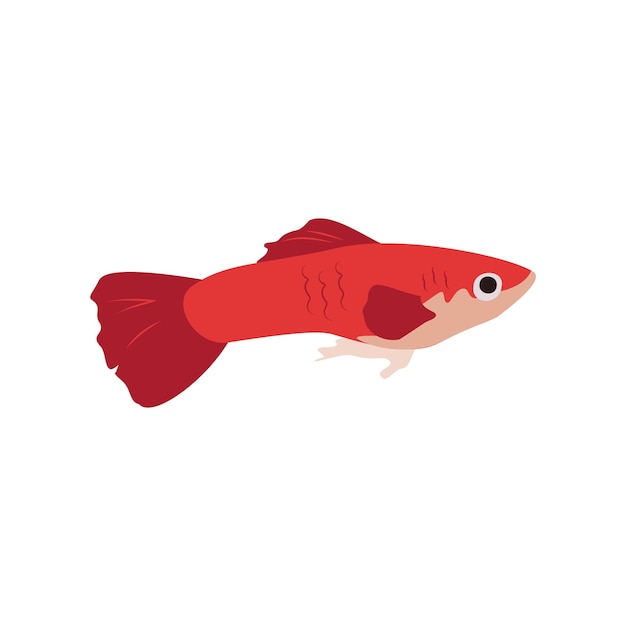 赤い魚の明るいアイコン。海と海の性質。フラットスタイルのベクトル図