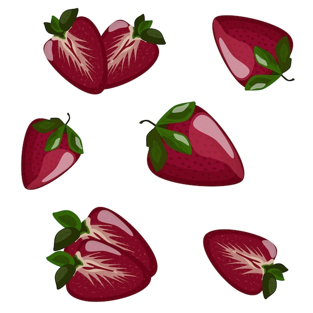 Vector bright juicy strawberries vector illustration