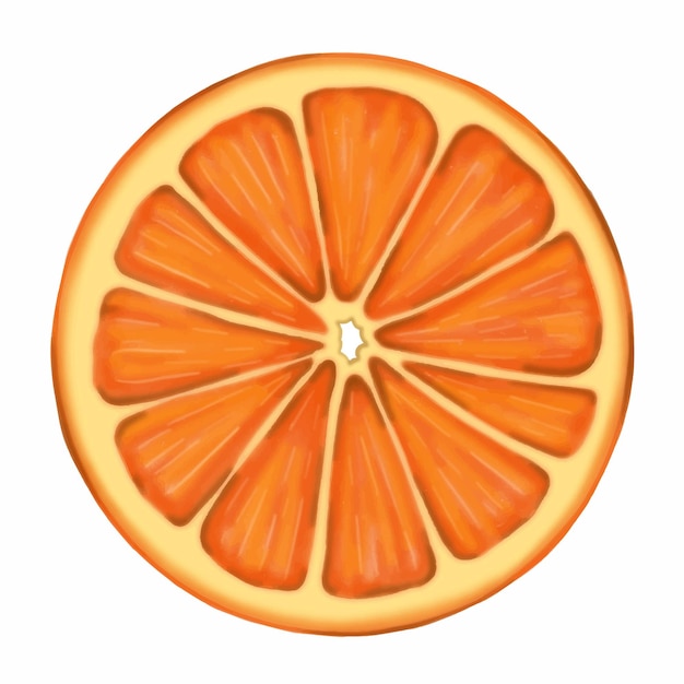 Bright orange slice vector illustration