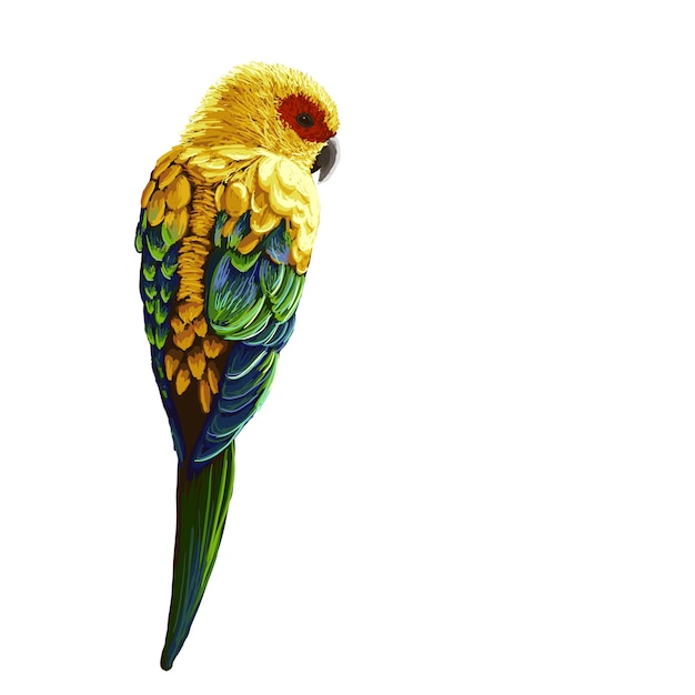 Bright painted parrot