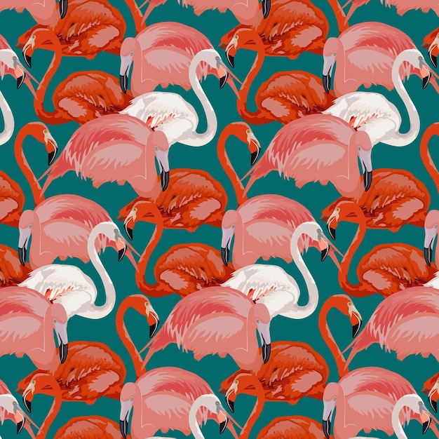 Vector bright pattern with different flamingos stylish pattern with red and pink flamingos