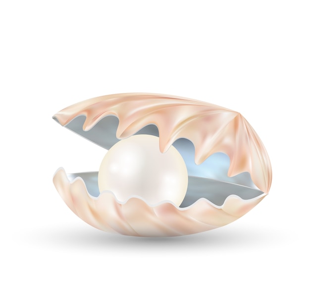 Vector bright pearl in a opened sea shell