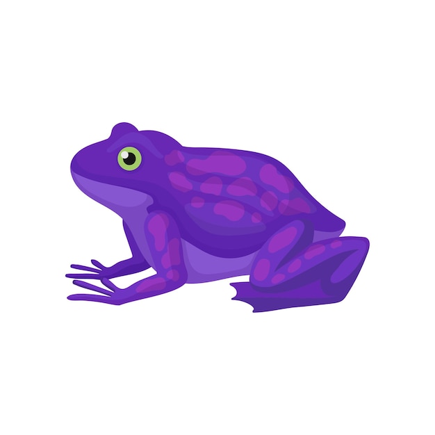 Vector bright purple frog with spots on back amphibian with green eye squat body smooth skin and long hind legs cartoon style icon graphic element for children book isolated flat vector illustration