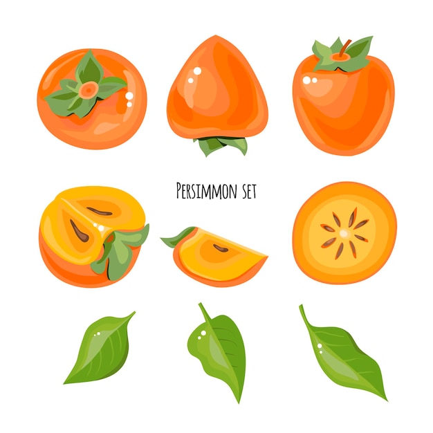 Bright set of juicy persimmons illustration