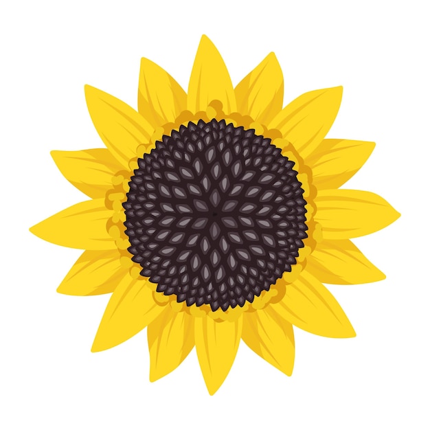 Best Sunflower design : r/PlantsVSZombies