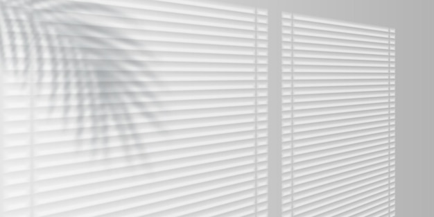 bright sunlight through window blinds palm leaf shadow minimal white interior background vectorn
