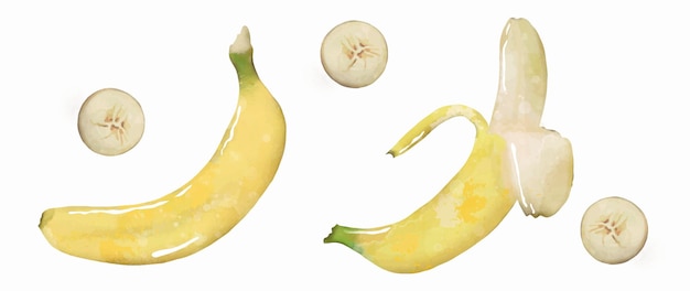 Bright tasty yellow bananas hand drawn on a white background Tropical fruits for decor designs presentations and promotional banners labels and covers