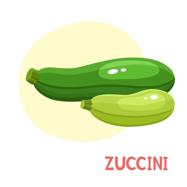 Vettore brillante vettore raccolta di colorati di zucchine fresche verdure del fumetto isolato su bianco