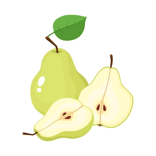 Bright vector illustration of colorful half and whole of juicy pear. Fresh cartoon pears on white background.