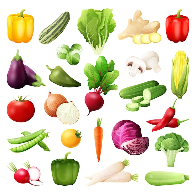 Bright vector illustration of colorful vegetables