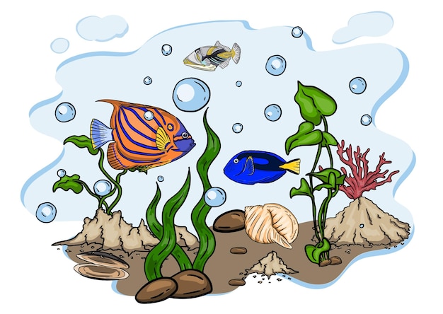 Vector bright vector illustration of the underwater world with beautiful fish shells algae in the sea