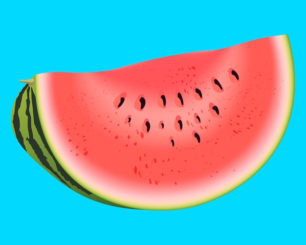 Bright vector image of colorful slice of juice watermelon Fresh cartoon berry isolated on blue background