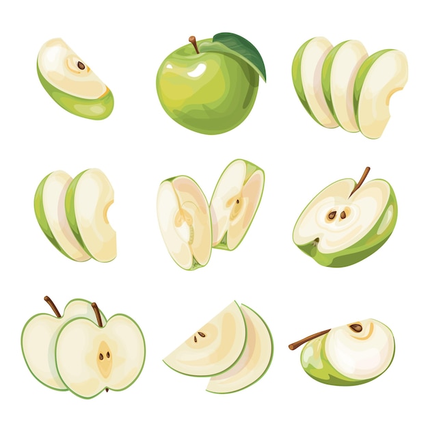 bright vector set of colorful half slice and segment of juicy green apple
