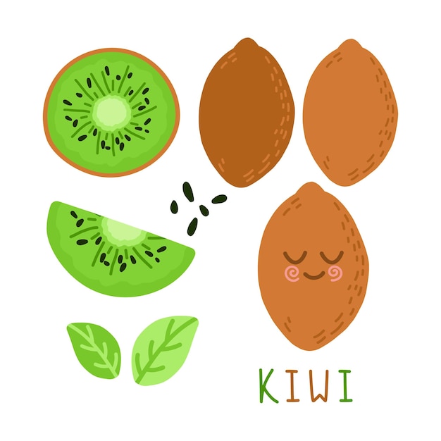 Bright vector set of colorful half slice and whole of fresh kiwi