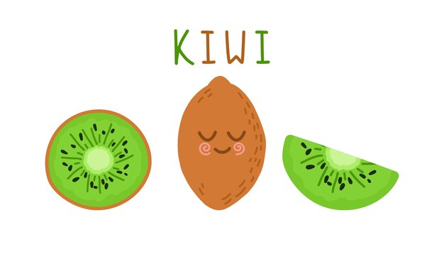 Vector bright vector set of colorful half slice and whole of fresh kiwi