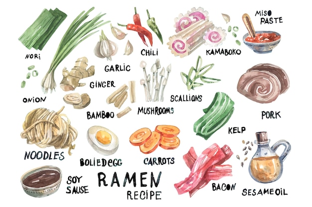 벡터 일본 전통 요리, 라면, 재료 및 설명에 대한 밝은 수채화 삽화.