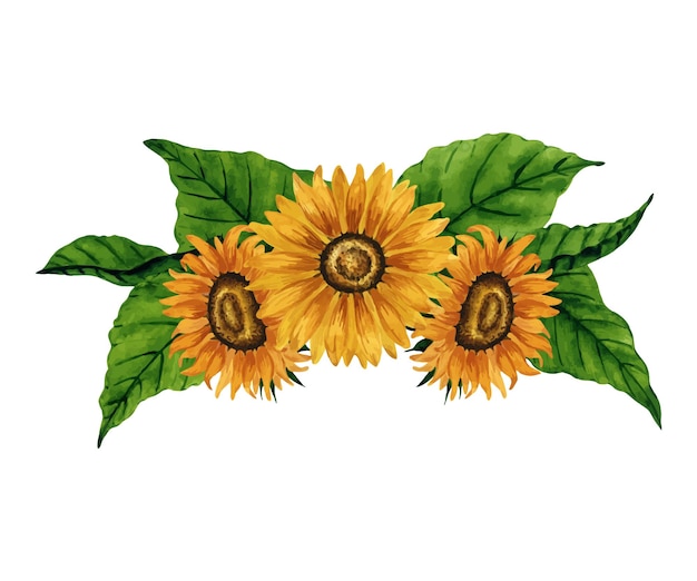 白い背景に隔離された明るい水彩の太陽<unk>の構成 手描きの植物学的なイラスト ポストカードの挨ロゴの背景パターン