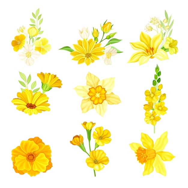 花びらと緑の葉のベクトルセットを持つ明るい黄色い花または花束