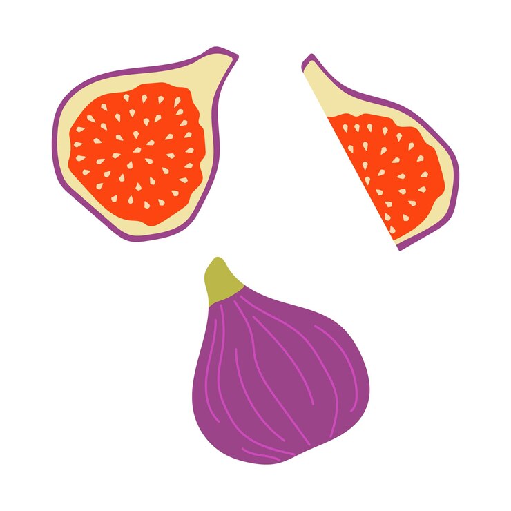 Vector brightly colored fresh figs displayed in a creative arrangement featuring whole and sliced pieces