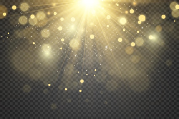 Brilliant dust vector shine. Glittering shiny ornaments for background. Vector illustration.