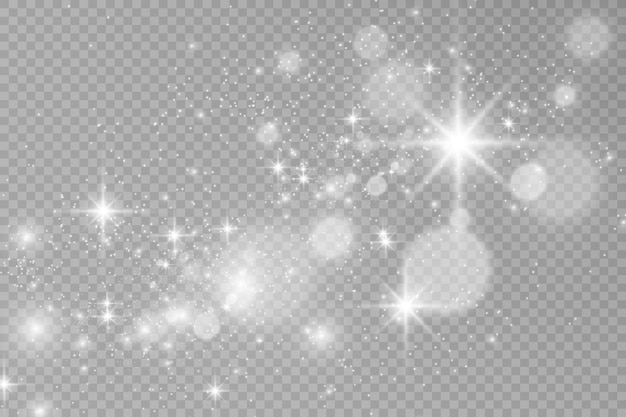 Brilliant dust vector shine Glittering shiny ornaments for background Vector illustration