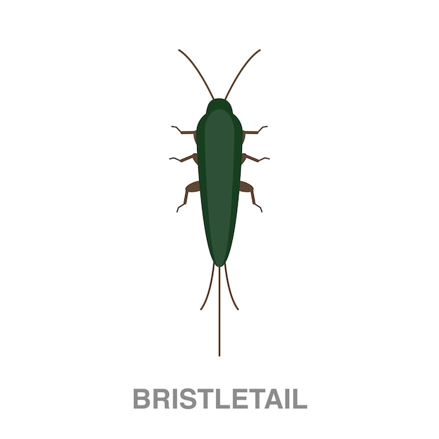 Иллюстрация bristletail на прозрачном фоне