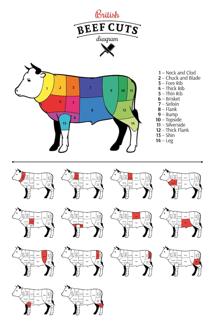 Vector british beef cuts diagram