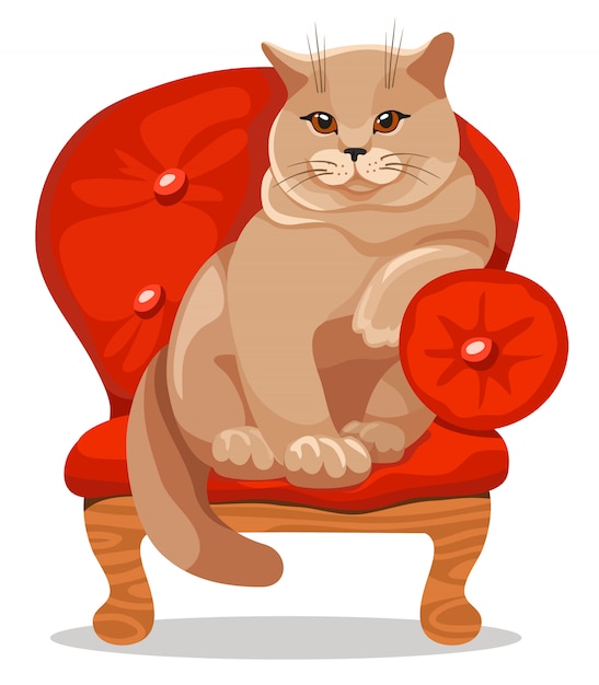 Vector british cat in the chair.