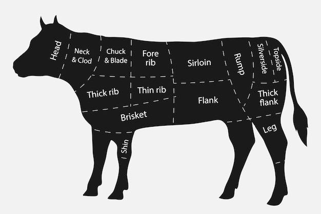 Vector british cuts of beef pieces of meat scheme