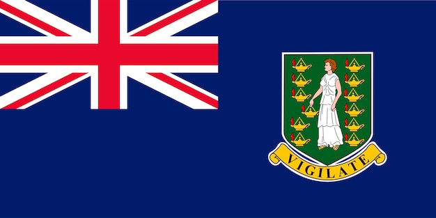 英領バージン諸島の旗の公式色と比率ベクトルイラスト