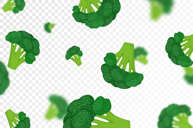 Broccoli achtergrond Vliegende verse broccoli kool op transparante achtergrond Platte ontwerp Vallende broccoli geïsoleerde groenten Natuur product Vector illustratie