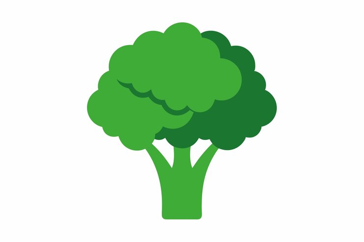 Vector broccoli clean silhouette color vector illustration white f