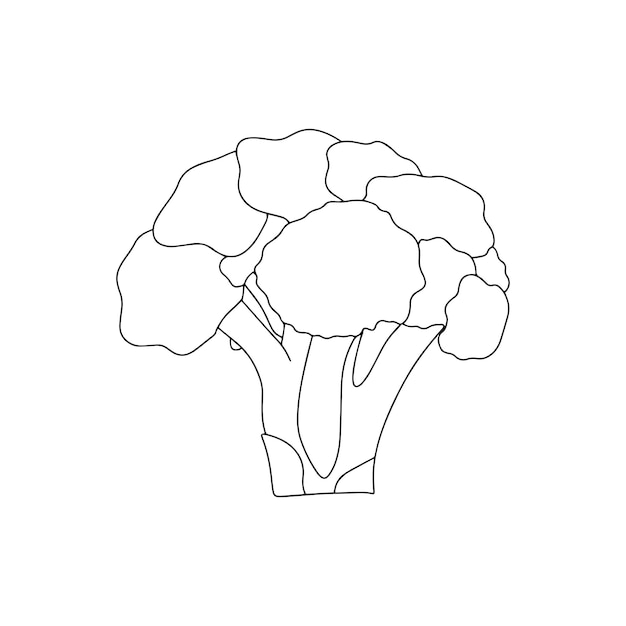 Broccoli eenvoudige dunne lijn pictogram vectorillustratie