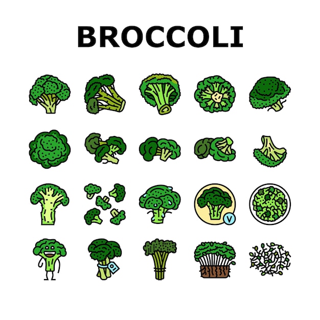 Broccoli food cabbage vegetable icons set vector